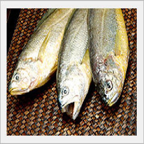 [Seafood] Yellow Croaker, Fish